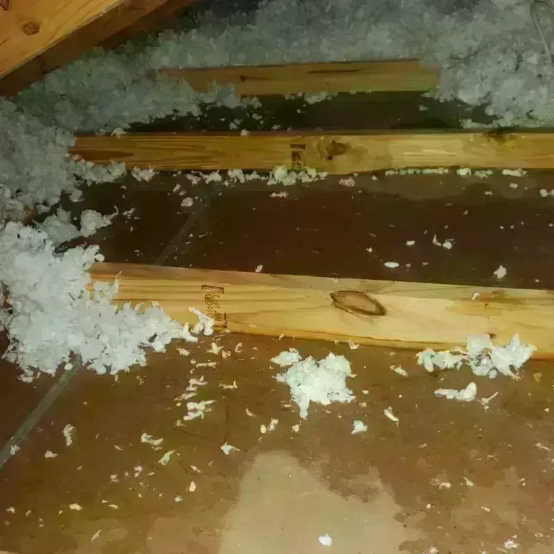 Attic Water Damage in Jenison, MI