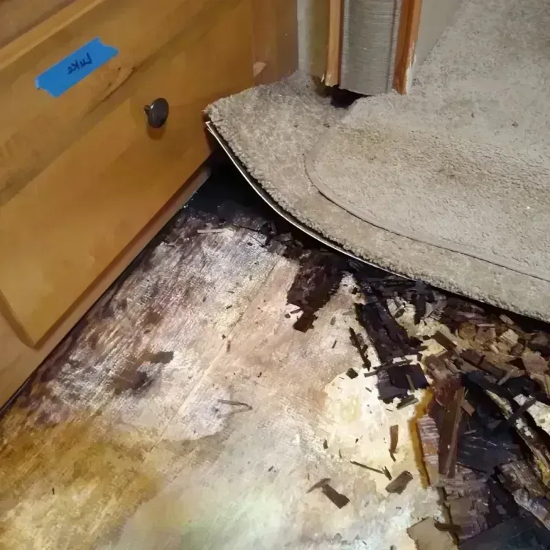 Wood Floor Water Damage in Jenison, MI